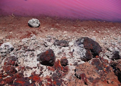 Pink lac hillier, Australia - portal turistic - lumea este frumoasa!