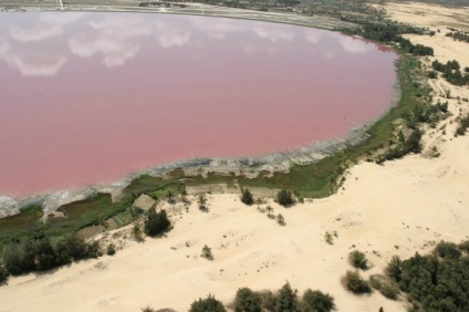 Pink lac hillier, Australia - portal turistic - lumea este frumoasa!