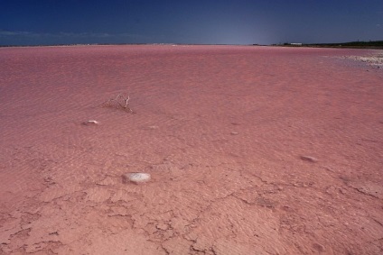 Pink lac hillier, Australia - portal turistic - lumea este frumoasa!