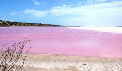 Pink lac hillier, Australia - portal turistic - lumea este frumoasa!