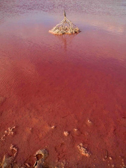 Pink lac hillier, Australia - portal turistic - lumea este frumoasa!