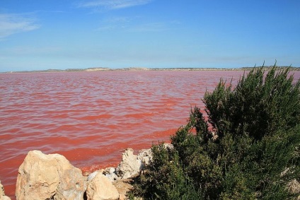 Pink lac hillier, Australia - portal turistic - lumea este frumoasa!