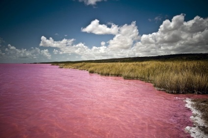 Pink lac hillier, Australia - portal turistic - lumea este frumoasa!