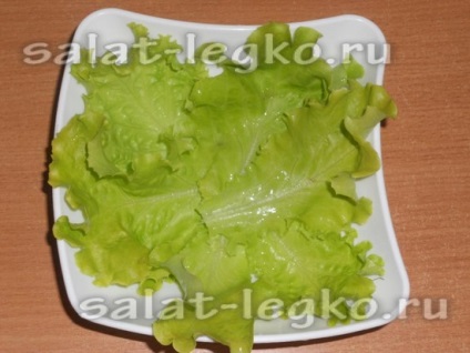 Csirke saláta uborka és fűszernövények