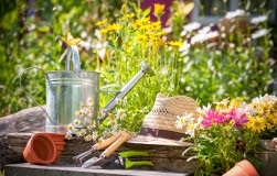Secatori, delimbanți sau ferăstraie de grădină - ce să alegeți