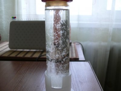 Stormglass (Barometrul Fitzroy) este o stație meteorologică auto-făcută