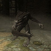 Skyrim Monsters