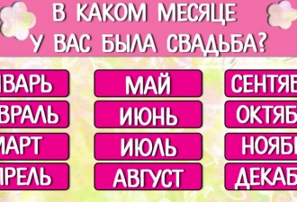 O pisică gri amuzantă dă o lambadă în fața unei oglinzi!