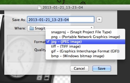 Snagit - un utilitar pentru crearea de screenshot-uri