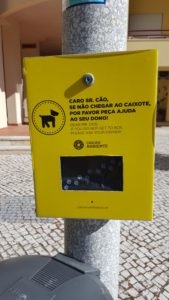 Câini - cuvinte și expresii în portugheză - blog multilingua