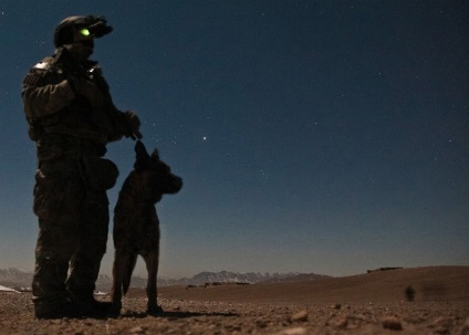 Munca câinilor în Afganistan
