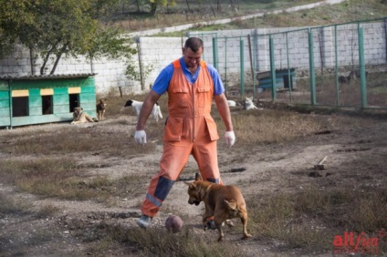 Un câine este un prieten al omului