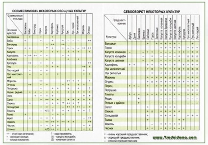 Aterizare combinată, un loc despre o grădină, o reședință de vară și plante de casă