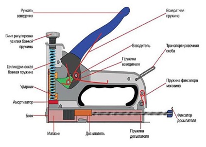 Stapler demnitatea clădirii, aplicare, tipuri, sfaturi cum să alegeți