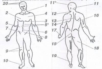 Stimulin-d, ca biopreparație terapeutică - articolele mele - catalogul articolelor - tratamentul bolilor complexe