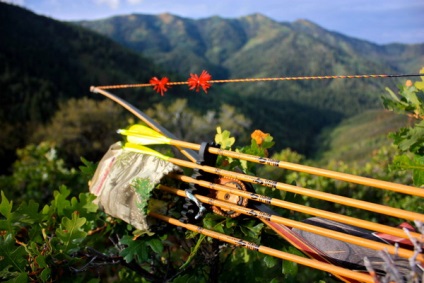 Săgeți pentru vânătoare arcuri cum să alegeți săgeți pentru vânătoare - săgeți în condiții de siguranță și practice pentru arcuri