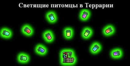 Acvariu în terariu cum să sunați și ce sunt, terraria (terraria)