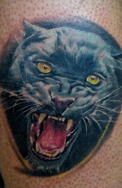 Panther tatuaj - înțeles, schițe și fotografii de tatuaje