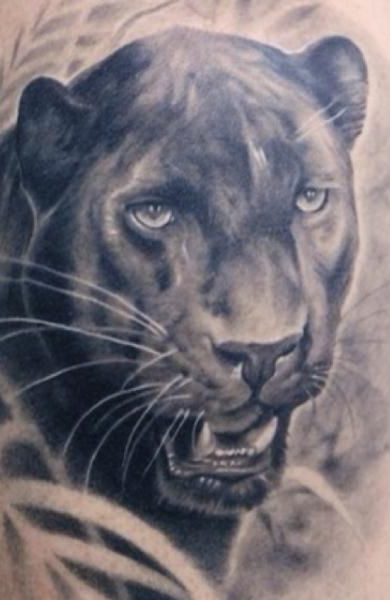 Panther tatuaj - înțeles, schițe și fotografii de tatuaje