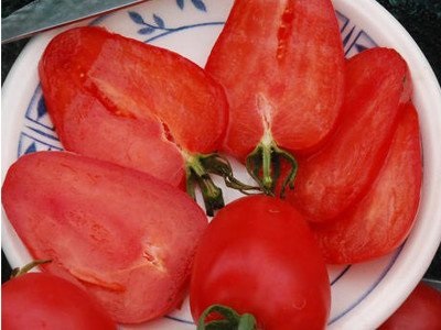 Tomato capsuni rosii german descrierea varietatii, avantajele si dezavantajele, particularitatile culturii