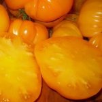 Tomato - un centru de grădină din Togliatti