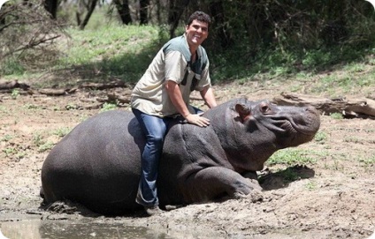 Povestiri tragice din viață cu animale sălbatice