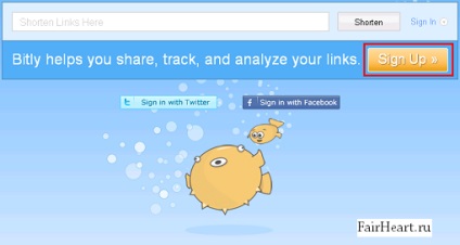 Twitter és wordpress - Top Dugó (wordpress) Twitter és wordpress - Top Dugó