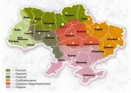 Ornamente ucrainene - caracteristici regionale ale broderii de cămăși și prosoape