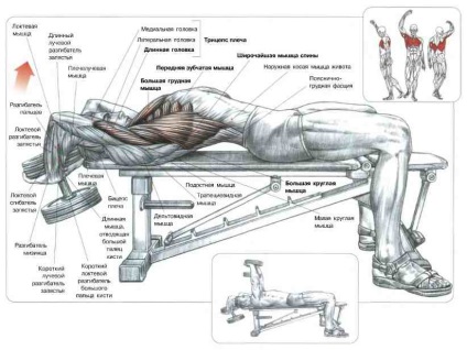 Exercițiu 