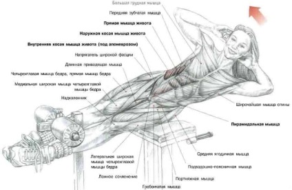 Exercițiile pentru mușchii abdominali întăresc grupele musculare drepte, transversale și interne