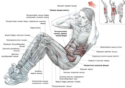 Exercițiile pentru mușchii abdominali întăresc grupele musculare drepte, transversale și interne