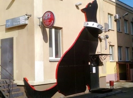 A Cseljabinszk zárt klub élő zene „veszett kutya” - üzleti portál kötelek