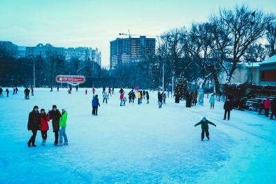 În parcul copiilor le impun machiajul pisicilor și admiră fotografiile animalelor domestice