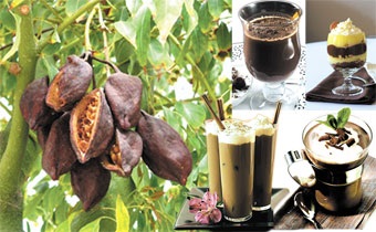 Seara Bishkek - chao, cacao