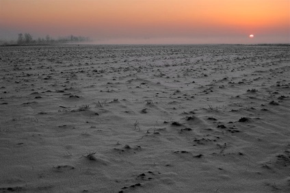 Permafrost, temă mondială