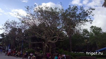 Vinpearl, egy vidámpark Vietnam (Nha Trang) véleménye, fotók