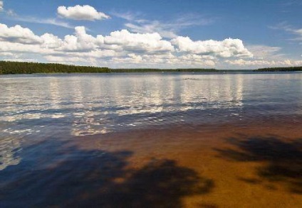 Vysokinsky tó leírás, jellemzők, fotók