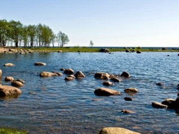 Lacul Vysokino, toate lacurile din regiunea Leningrad și speciile de pește care le locuiesc