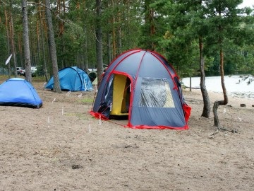 Lacul Vysokino, toate lacurile din regiunea Leningrad și speciile de pește care le locuiesc