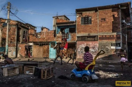 Somușorii bizantini brazilieni (16 fotografii), iad