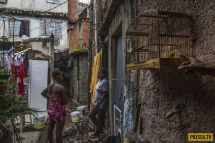 Somușorii bizantini brazilieni (16 fotografii), iad