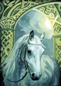 Erős fény, kon- szent állat (fény) Erős fény, kon- szent állat