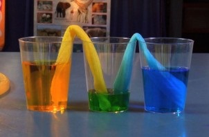 Experimente interesante privind fizica pentru copii - forțe capilare și miracole colorate ~ comportamentul crapului