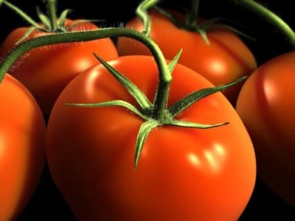 Protejarea tomatelor de boli-boli și dăunători de roșii - viața mea