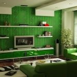 Tapet de fundal verde în interiorul combinații de succes, ce perdele sunt potrivite, design de camere în tonuri verzi