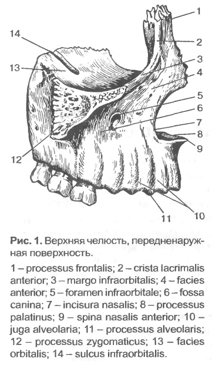 Dispozitiv dentofacial - un portal dentar bun, un portal dentar bun