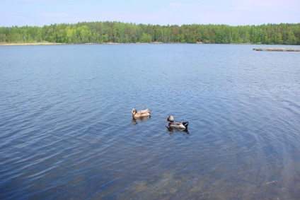 Alabuga, lacul (raionul Kasli)