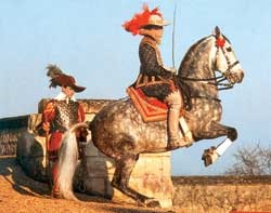 Andalúziai ló - spanyol legenda - képviseli a fajtát - a lovas világ