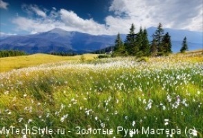 Parfumuri aromate, umplute cu ierburi din pajiști, mâini de aur ale stăpânului