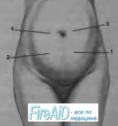 Auscultarea fătului